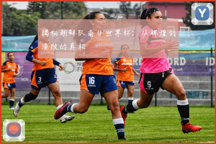 揭秘朝鲜队南非世界杯：从辉煌到溃败的真相